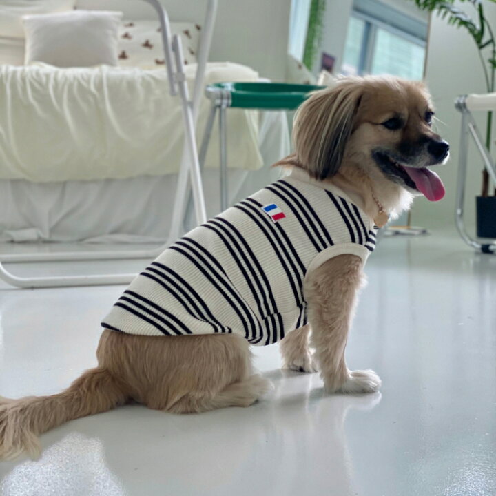 楽天市場】犬服 ボーダー フランス シンプル Tシャツ 小型 犬 中型 犬 