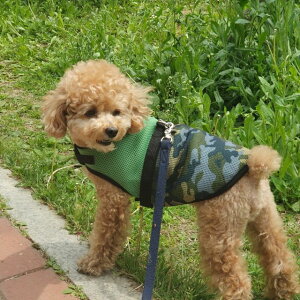 ydoggystar hbM[X^[zZ[  n[lX  [ht ۗ p bV N[xXg n[lX  S M L XL ^  ^  doggystar hbM[X^[ cockerpapa RJpp y