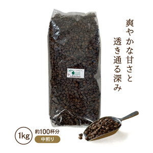 【送料無料】 コーヒー豆 コーヒー粉 1kg 業務用韮崎ブレンド 中煎り 1000g 大容量エイジングコーヒー 珈琲 こだわり コクテール堂コーヒーメーカー 美味しい おしゃれ