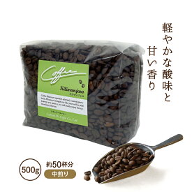 コーヒー豆 500g キリマンジャロ 中煎り タンザニア産ストレートコーヒー 珈琲 コクテール堂