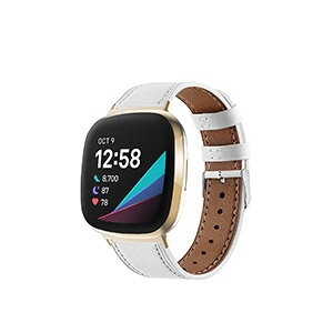 Fitbit Versa 4 Sense 2 EFAu[EX}[gEHb`  oh PUU[f rvxg X|[c xg p xg ւxg ȒP u₩ gтɕ֗   x