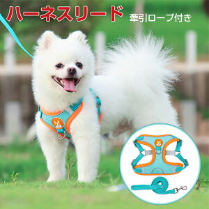 p n[lX[h     n[lX [h Zbg  p ʋCQ  y ybgpi U op  ߉\ ȒPE EH[LOAWM