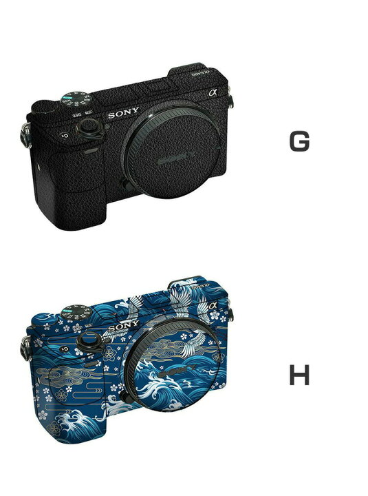 楽天市場】SONY ソニー a6000 ILCE-6000 アクセント スキンシール PVC  