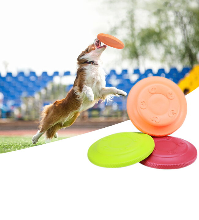690円 【NEW限定品】 犬 おもちゃ リング フリスビー 投げる 引っ張る フライングディスク 輪ドーナツ型 丈夫で長持ち トレーニング玩具 直径28cm 1個