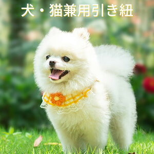 ELpR    L  n[lX [h Zbg ybg  p xXg ʋCQ  y pSn悭 [v Ђ ybgpi ^ L U 