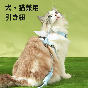 ELpR    L  n[lX [h Zbg ybg  p xXg ʋCQ  y pSn悭 [v Ђ ybgpi ^ L U 