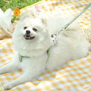 ELpR    L  n[lX [h Zbg ybg  p xXg ʋCQ  y pSn悭 [v Ђ ybgpi ^ L U 