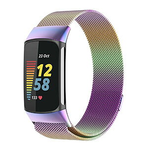 Fitbit Charge 6 EFAu[EX}[gEHb`  oh IV XeX rvxg p xg ւxg ȒP u₩ gтɕ֗ p lC  