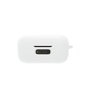 SENNHEISER MOMENTUM True Wireless 4 P[X ϏՌ h~ _̂VRf CzEwbhz ANZT[ CASE [nCU[ ^gD[ CX4 [ ی \tgP[