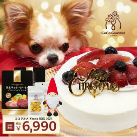ココグルメ クリスマスBOX 愛犬用 クリスマスケーキ ココグルメ 犬用 誕生日 プレゼント バースデー 記念日 お祝い デザート スイーツ 犬のケーキ おやつ 手作り クリスマス