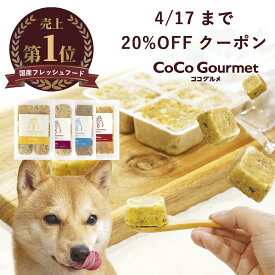 【4/17まで20%OFFクーポン】ココグルメプチ(約20g×36) 手作りドッグフード 国産 無添加 獣医師監修 総合栄養食 グレインフリー ウェットフード ペットフード ご飯 トッピング 老犬 シニア 小型犬 子犬