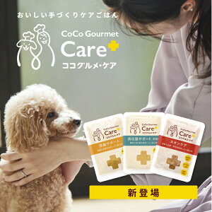 y20%OFFzRROEPA hbOt[h t  XLPA Ö@H Y Y btďC OCt[ EFbgt[h ybgt[h  gbsO V VjA ^ 