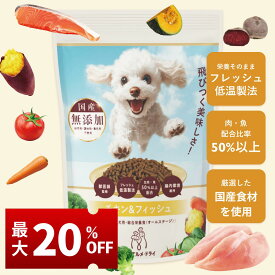 【ご愛顧感謝デー&マラソン限定20%オフクーポン】 1000円ポッキリ 送料無料 ココグルメ・ドライ 手作りドッグフード 国産 無添加 獣医師監修 総合栄養食 グレインフリー ドライフード ペットフード ご飯 トッピング 老犬 シニア 小型犬 子犬 低温調理