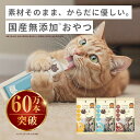 ＼最大44%OFF／【お買い物マラソン9日20時～】国産 無添加 おやつ にゃっち 猫 ピューレ ペースト 食塩不使用 グレイ…