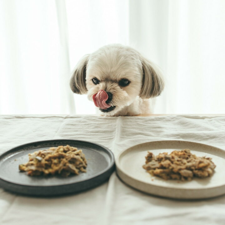 メール便なら送料無料 ココグルメ チキン 100g 48 手作りご飯 国産 無添加 獣医師監修 総合栄養食 シニア犬 子犬 餌 ウェットフード アレルギー グレインフリー 涙やけ 老犬 偏食 トッピング フレッシュフード レトルト 水分補給 夏バテ対策 食べない 食いつき抜群 鶏肉