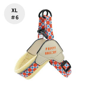 U [h  ^ ^ ^ _uDO S K p[h v UR tBbg TCY  ȒP hbN[h hbO[h ̃[h U n[lX ps[M