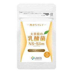 ���N�A �呐���̓��_��NS-Slim 36�� [M�� 1/2]