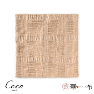 ؕz hanafu ̃I[KjbNRbg̕zivL ܂ЁiLj1 [M 1/1]