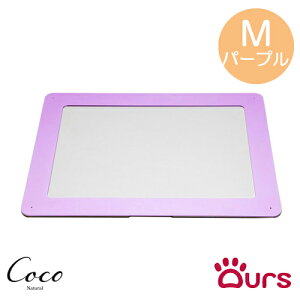 A[Y Ours gCg[ MTCY S11F S  {  L gC ybgV[c hbOgC V[cg[ ȒP ChTCY