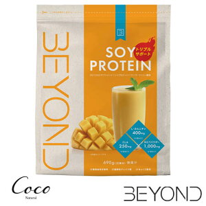 BEYOND �\�C�v���e�C�� 690g �S2��� �؃g�� �g���[�j���O �p�E�_�[ ���� �哤 ���Y �p�[�\�i���W�� �r�����h