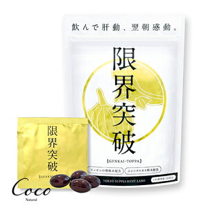 E˔j Tvg ۂ񗑁EɂɂGLX 48i4×12j