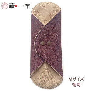 ؕz̃I[KjbNRbĝߕz MTCY 15×15cm ʂ  ivL  Ԃ q ͂Ȃ ₦ fP[g][ ̃V[g peB[Ci[ [M 1/1]