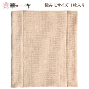 ؕz̃I[KjbNRbg̕zivL ɂ LTCY 24cm×28cm 1 ivL  Ԃ q ͂Ȃ ₦ fP[g][ ̃V[g peB[Ci[ [M 1/1]