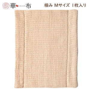ؕz̃I[KjbNRbg̕zivL ɂ MTCY 20cm×24cm 1 ivL  Ԃ q ͂Ȃ ₦ fP[g][ ̃V[g peB[Ci[ [M 1/1]