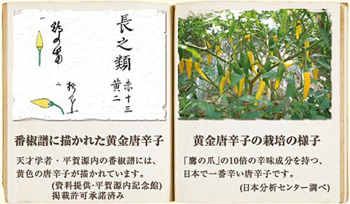 楽天市場 祇園味幸 黄金一味 13g 瓶 一味唐辛子 国産 激辛 指上唐辛子 Coco Natural ココナチュラル