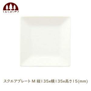 XC 񂵂イ₫ XNGAv[g M c135x135x15 mm { dqWOK ԊO }CiXCI
