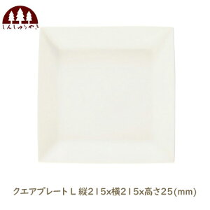 XC 񂵂イ₫ XNGAv[g L c215x215x25 mm { dqWOK ԊO }CiXCI
