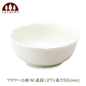XC 񂵂イ₫ t[ M a127×50 mm { dqWOK ԊO }CiXCI