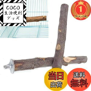 yzyyVLO1ʊlzYFFSFDC  ~܂I^ p[` IECR܂𖁂 ނ R񂲂̖ ݒuȒPxݏꏊ pi 2{Zbg