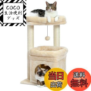 yzPAWZ Road Lbg^[ ~j L^[ ^ Ⴂ  u lC ܂Ƃ|[ ܌ R L̂ RpNg ȃXy[X  S LnEX W] - 68cm x[W