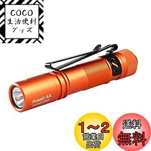 yzACEBEAM Pokelit AA d ^ y  550[PO 3iK F Ra90 IP68h ő9̎s 肵ptH[}X イłƂ ledCg tbV