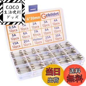 yzKiligen 168 6 * 30mm KX q[Y (0.5A/1A/2A/3A/4A/5A/6A/7A/8A/10A/15A/20A/25A/30A ̃q[Ye12Â)+12̃q[Yz_[