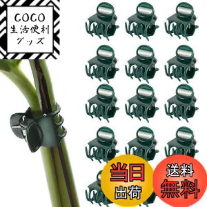 yzPAVIKE m ApNbv 50 AxNbv |Nbv ڂ؃Nbv xUNbv ϋv ͔| ėp\ K[fK[fc[ |֗Nbv |