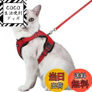 yzRabbitgoo L n[lX [h Zbg Ȃ Lpn[lX \tgy Lp ^ ^ U ЊQ ́[˂ [ グ TCY߉ 锽 ʋC