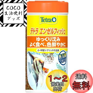yzeg (Tetra) G[tBbV 100g Mы̎H LCۂ H׎ct Mы GT t[N