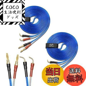 yzyoinz 2{1g LRZbg yoiivOHρz by yWYVERN AUDIOz 24kbL vO Xs[J[ P[u in_ς By WYVERN AUDIO (oiivO̐jvO / 