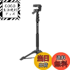 yzSLIK rȈՎOr X^h|bhGX-N 4io[bN 3EFC_ NCbNV[ 217122 ubN