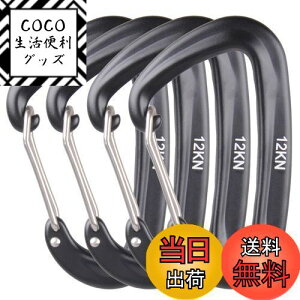 yzAzarxis bNJri ω׏d 12KN(1200kg) oRt A~ Jri DO bLO L[O Eh~ y @\ nbN Lv AEghA