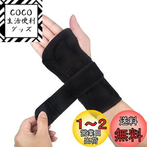 yz T|[^[  Œ ʋCT|[^[ ی P 荪ǏǌQ F≊  T|[^[ y2A~v[g ߉\ t[TCY jpiEjyMekarsooz