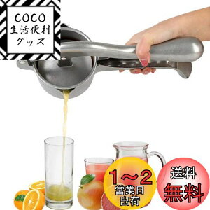 yzHCTOOL nh W[T[ ʏ` i ڂ W[T[ i ቷ 蓮 ʏ`  W[Xi t[cڂ Ɩp ƒp (F)