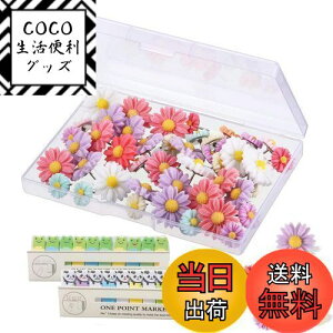 【送料無料】RuiChy プッシュピンタック ストレージ ボックス 付き 装飾 フラワ フラワーサムタック サム タック カラフル マーキングピン ホワイト ボード コルク ボード 写真 壁 地図 掲示板