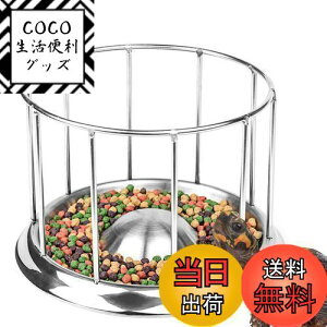 yzTARATI T a{E T ߂̂ybg{E XeX H঒ޗpap ~^P[W a  @\ wr gJQ  T T H fBXyT[ Ȋw