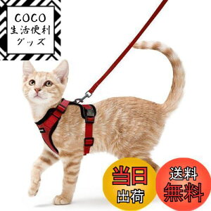 yzRabbitgoo L n[lX [h Zbg ɂ \tg y ^ ^ L U p n[lX  グ TCY߉ 锽 ʋCbV Pݖh~