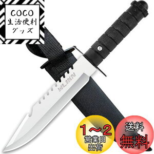 yzWlikn V[XiCt ToCoiCt S280mm AEghA ނ d  o[xL[ Lv P[Xt