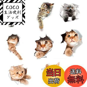 yzsiawadeky L V[ 8Zbg  EH[XebJ[ яoĂ 3D݂ h V[  DIY  JtF ybg gC  Q q CeA  