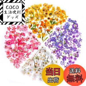 yzYOVOY 164 R[W f V[ ԃV[Zbg t[NV[ XebJ[ e    A 蒠fރXebJ[ KXrƉ